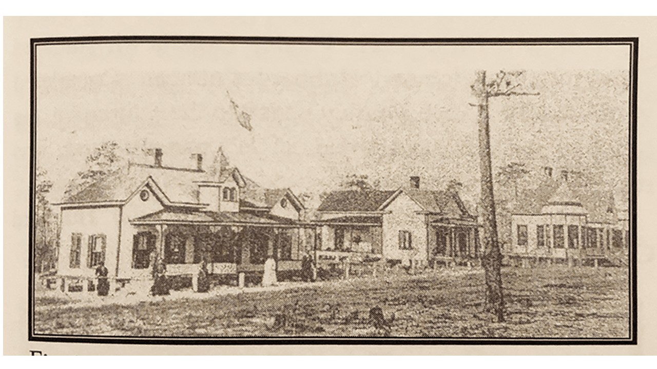 early southern pines